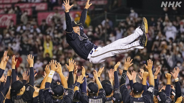 Somebody took pics of a model of the Nippon Ham Fighters new