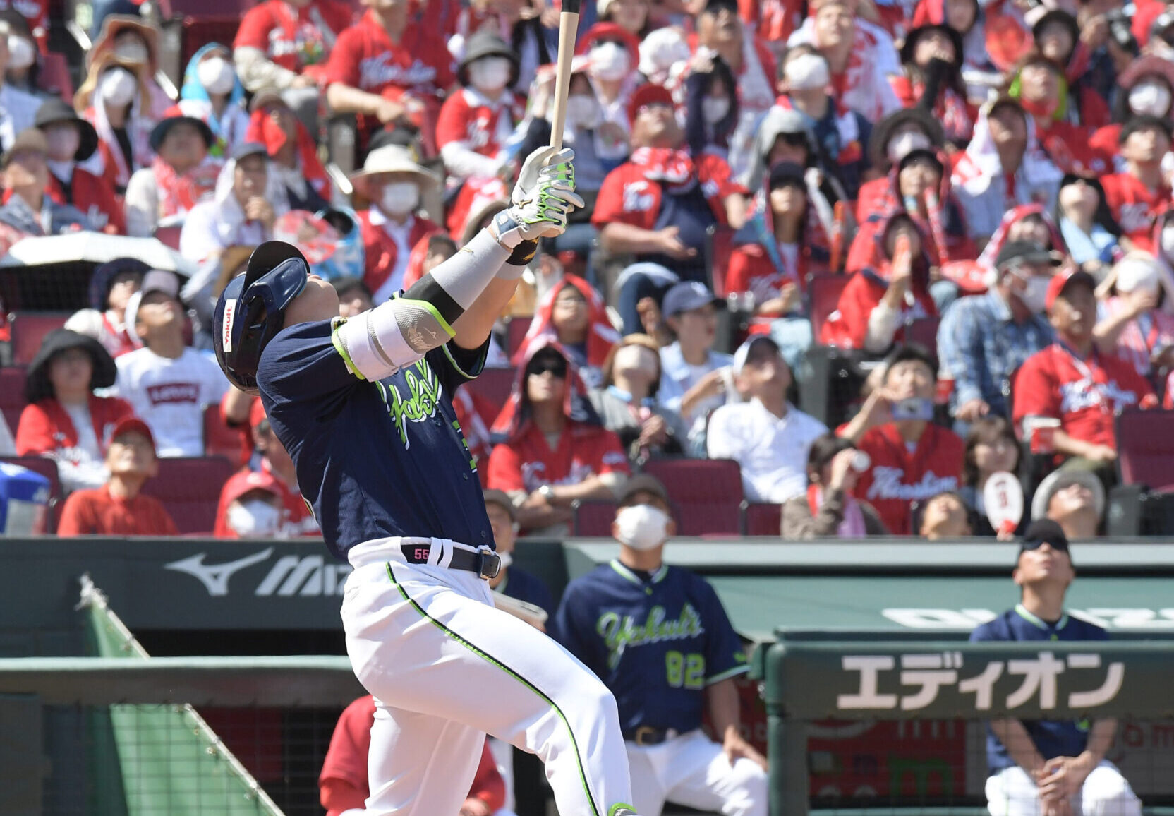 What's Wrong With the Yakult Swallows? - JapanBall
