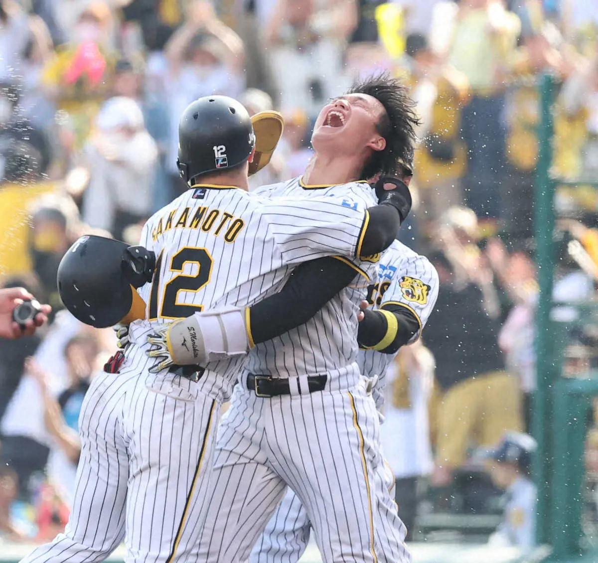 Japan Ball Game 4: Tokyo Yakult Swallows vs. Hanshin Tigers, by Adam Nace