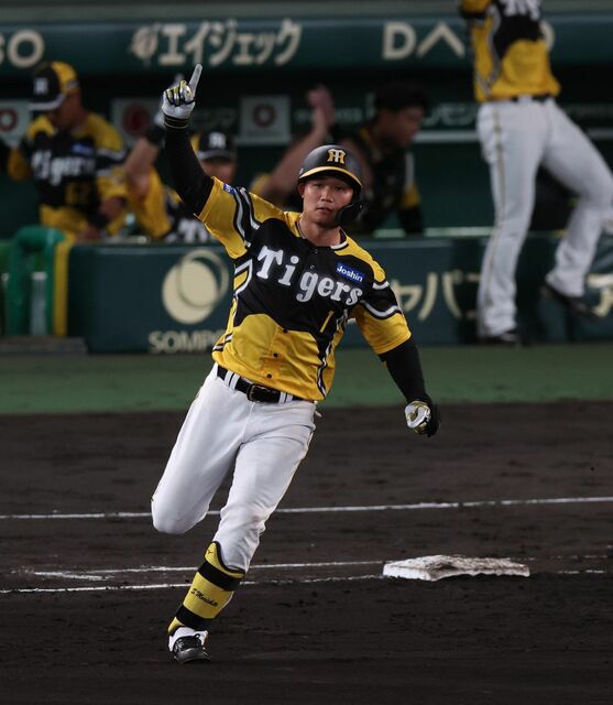 Joshin Hanshin Tigers Japanese Baseball Jersey 