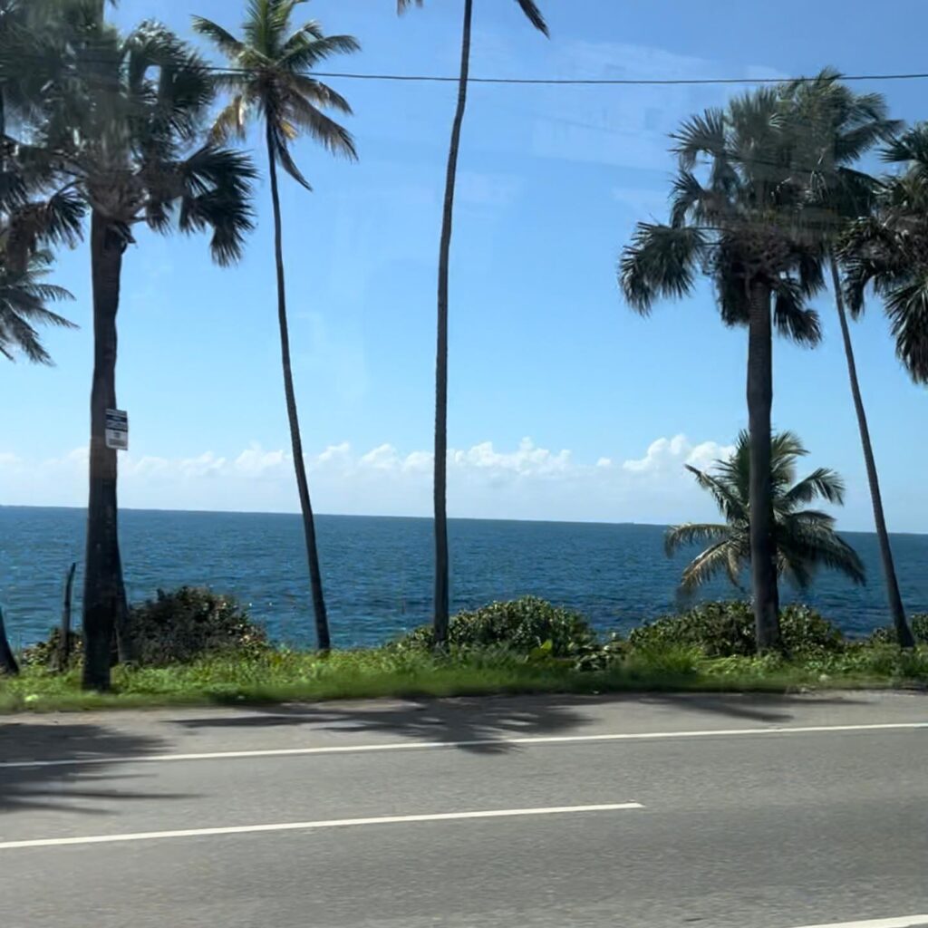 View-Of-DR-Beach-Drive