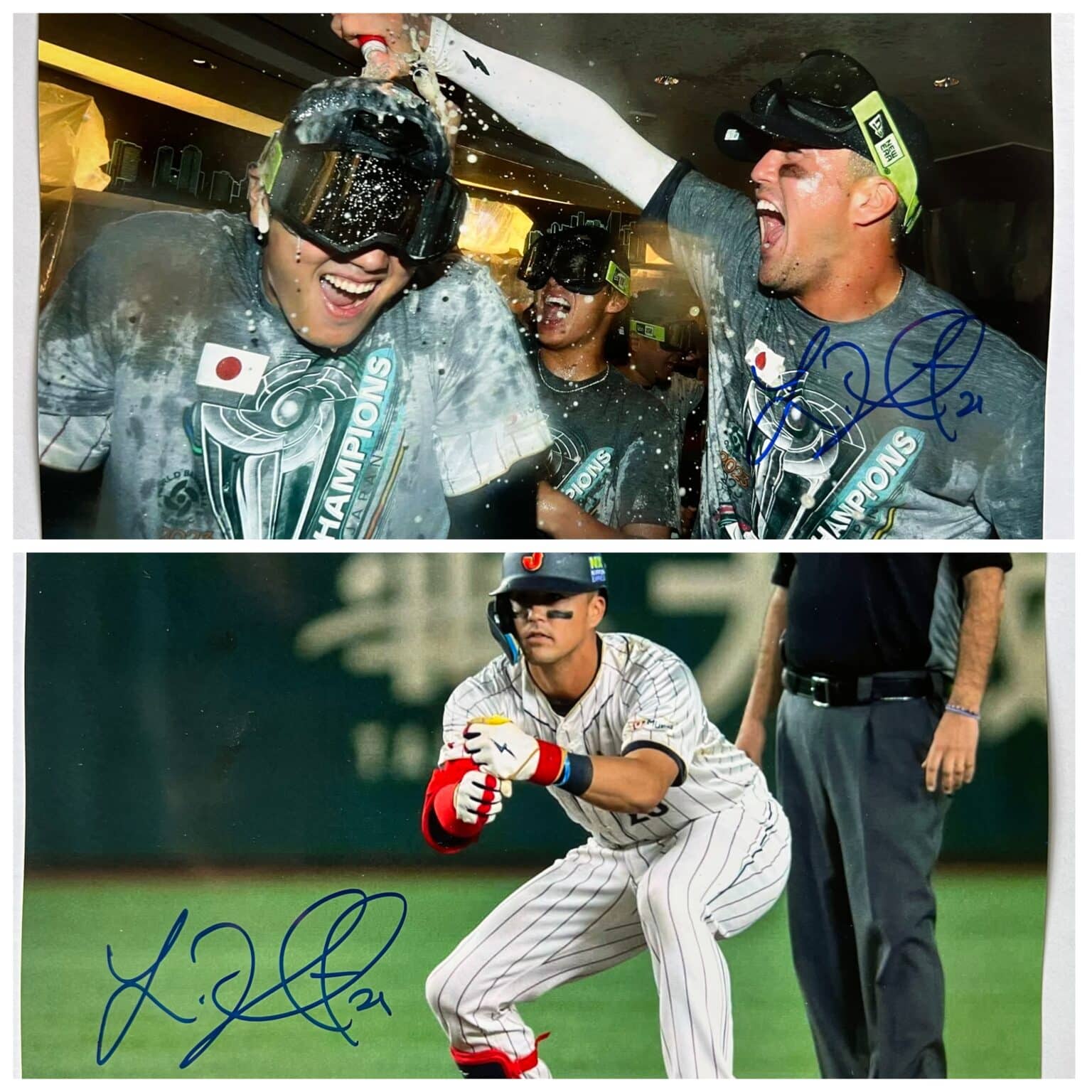 Lars Nootbaar 2023 Japan WBC Champs Signed 8x10 photo (2 variations ...